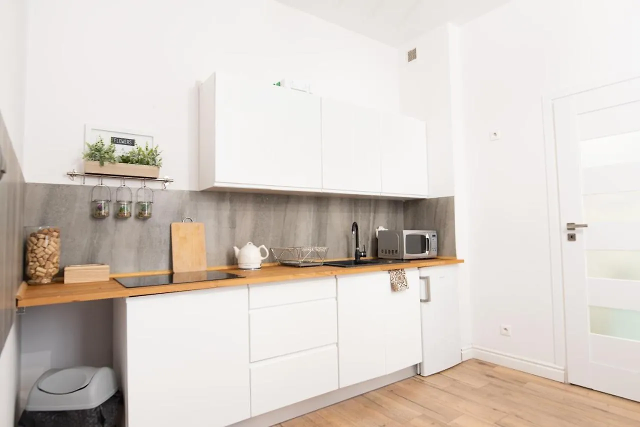 Old Town Apartment Poznań